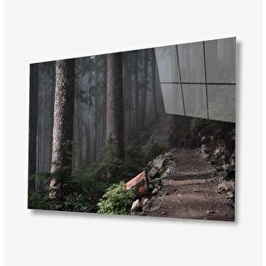Doğa Cam Tablo 36x23 cm