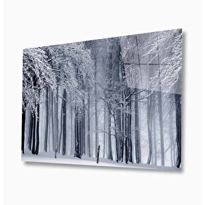 Doğa Cam Tablo 50x70 cm