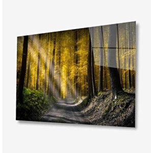 Doğa Cam Tablo 50x70 cm