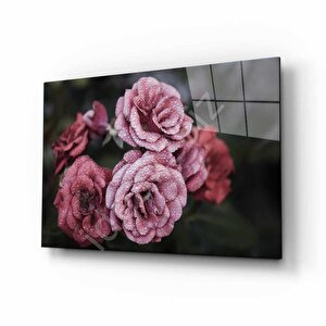 Doğa Cam Tablo 36x23 cm