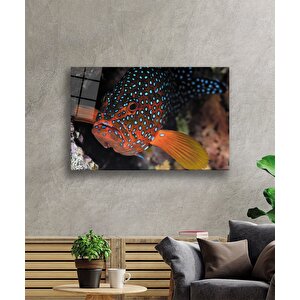 Balıksualtı Cam Tablo 90x60 cm