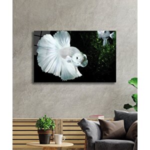 Beyaz Balık Cam Tablo White Fish 110x70 cm