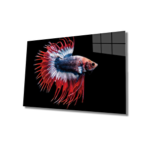 Balık Cam Tablo Fish 50x70 cm