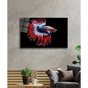 Balık Cam Tablo Fish 50x70 cm