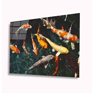 Balıklar Cam Tablo 50x70 cm