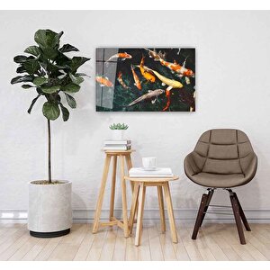 Balıklar Cam Tablo 50x70 cm