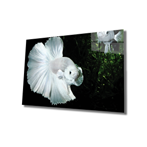 Beyaz Balık Cam Tablo White Fish 36x23 cm