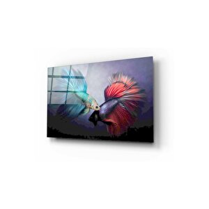 Japon Balıkları Cam Tablo 60x90 cm