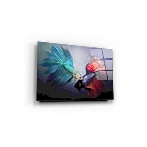 Japon Balıkları Cam Tablo 60x90 cm