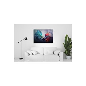 Japon Balıkları Cam Tablo 60x90 cm