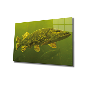 Yeşil Balık Cam Tablo Green Fish 50x70 cm