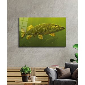 Yeşil Balık Cam Tablo Green Fish 50x70 cm