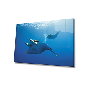 Balık Sualtı Cam Tablo 90x60 cm