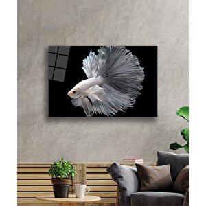Beyaz Balıksualtı Cam Tablo 36x23 cm