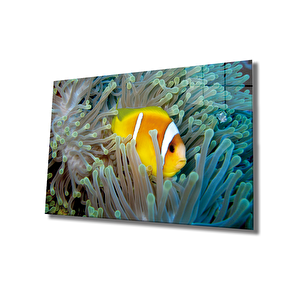 Sarı Balık Cam Tablo Yellow Fish 36x23 cm