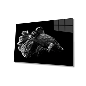 Balık Hayvan Cam Tablo 50x70 cm