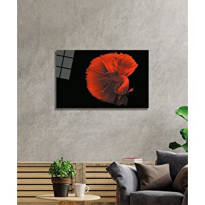 Kırmızı Balık Cam Tablo 50x70 cm
