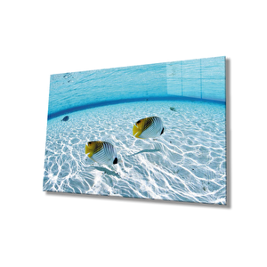 Balıklar Sualtı Cam Tablo 50x70 cm