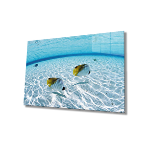 Balıklar Sualtı Cam Tablo 36x23 cm