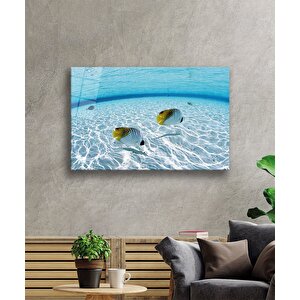 Balıklar Sualtı Cam Tablo 36x23 cm