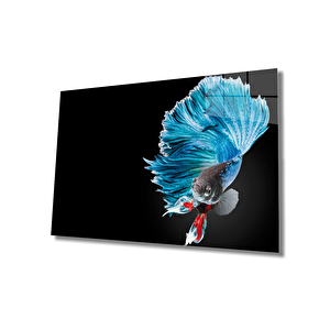 Mavi Balık Cam Tablo Blue Fish 50x70 cm