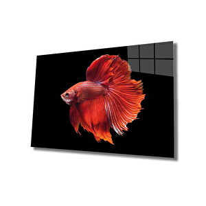 Turuncu Balık Cam Tablo Orange Fish 50x70 cm