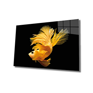 Sarı Balık Cam Tablo Yellow Fish 90x60 cm