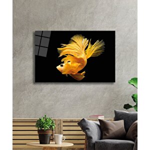 Sarı Balık Cam Tablo Yellow Fish 90x60 cm