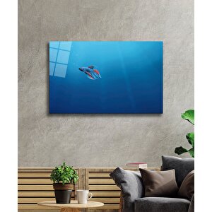 Balık Cam Tablo Fish 50x70 cm