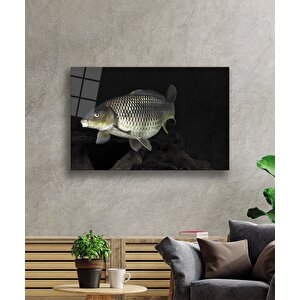 Balık Hayvancam Tablo 90x60 cm