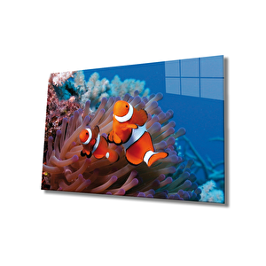 Balıklar Cam Tablo Fishes 36x23 cm