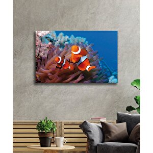 Balıklar Cam Tablo Fishes 36x23 cm