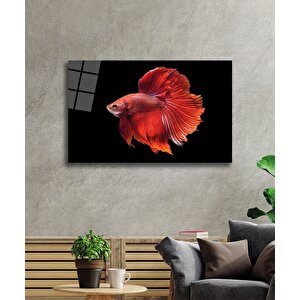 Turuncu Balık Cam Tablo Orange Fish 36x23 cm