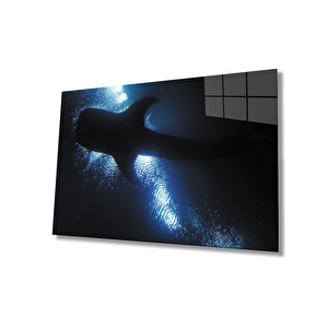 Balık Sualtı Cam Tablo 50x70 cm