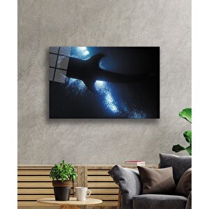 Balık Sualtı Cam Tablo 50x70 cm