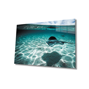 Balıksualtı Cam Tablo 90x60 cm