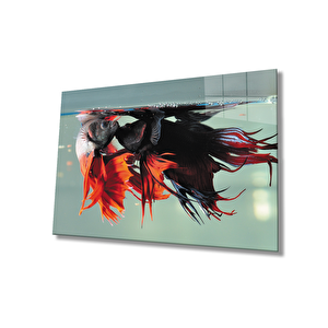 Balıklar Sualtı Cam Tablo 36x23 cm