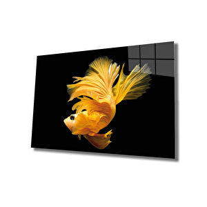 Sarı Balık Cam Tablo Yellow Fish 50x70 cm