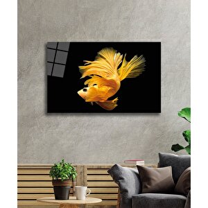 Sarı Balık Cam Tablo Yellow Fish 50x70 cm