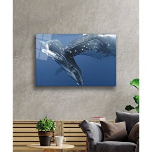 Balıklar Sualtı Cam Tablo 50x70 cm
