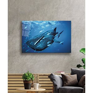 Balıklar Sualtı Cam Tablo 110x70 cm