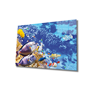 Balıklar, Colorful Fishes 90x60 cm