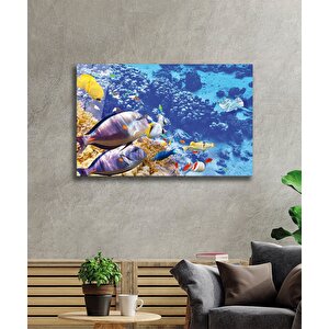 Balıklar, Colorful Fishes 90x60 cm