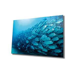 Balıklar Cam Tablo Fishes 50x70 cm