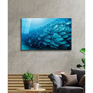 Balıklar Cam Tablo Fishes 50x70 cm