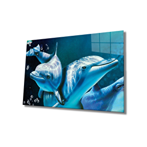 Yunus Balıkları Cam Tablo Dolphins 110x70 cm