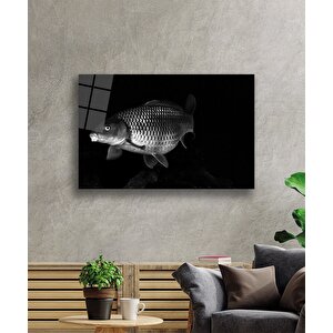 Balık Hayvancam Tablo 50x70 cm