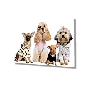 Köpek Cam Tablo 50x70 cm