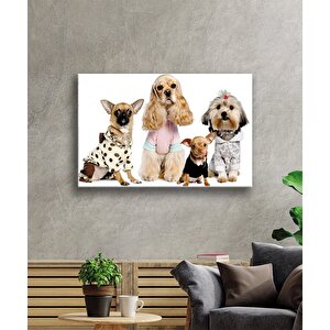 Köpek Cam Tablo 50x70 cm