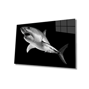 Köpek Balığı Hayvancam Tablo 110x70 cm